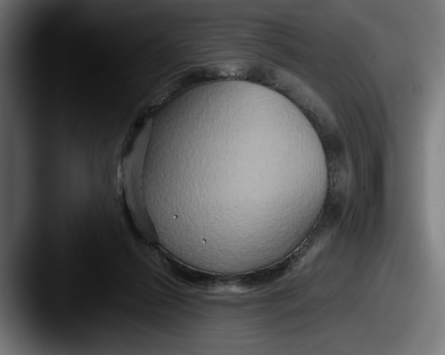 X0000087520262200705181018