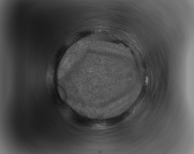 X0000087520263200705181018