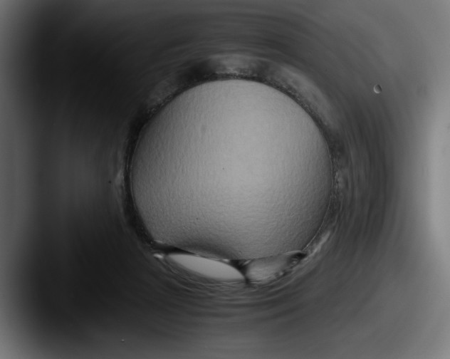 X0000087520265200705181018