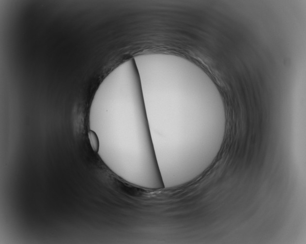 X0000087520269200705181018