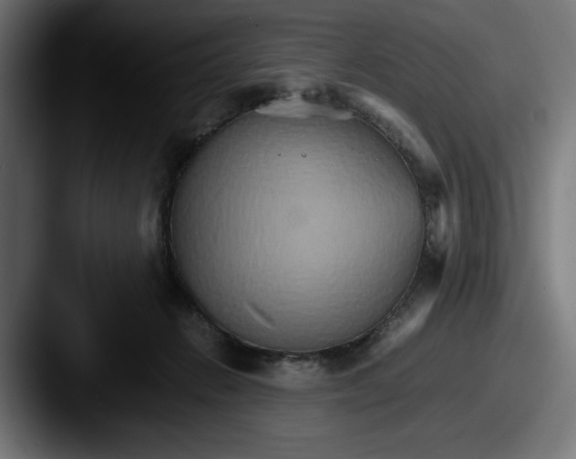 X0000087520270200705181018