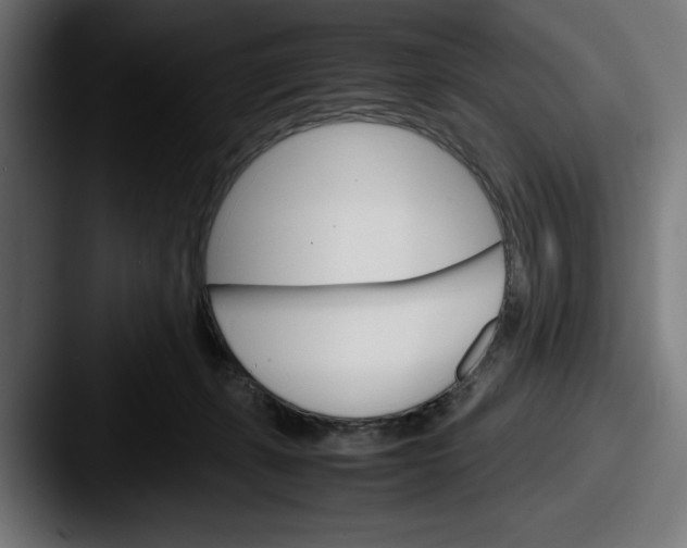 X0000087520271200705181018