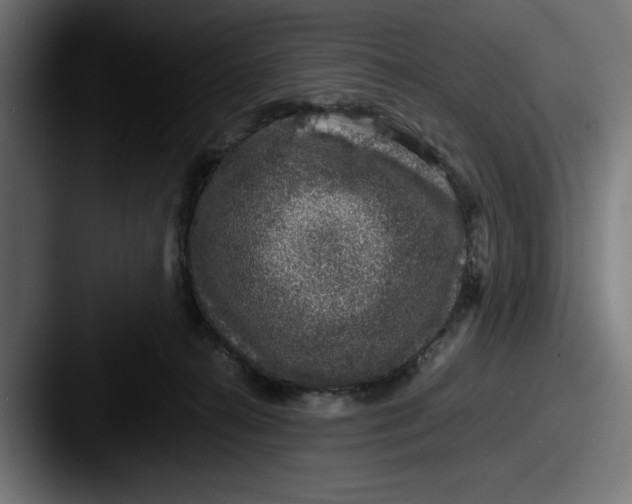 X0000087520272200705181018