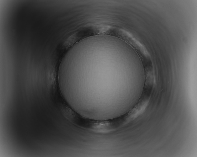 X0000087520274200705181018