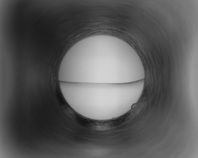 X0000087520275200705181018