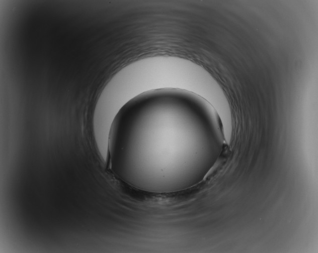 X0000087520276200705181018