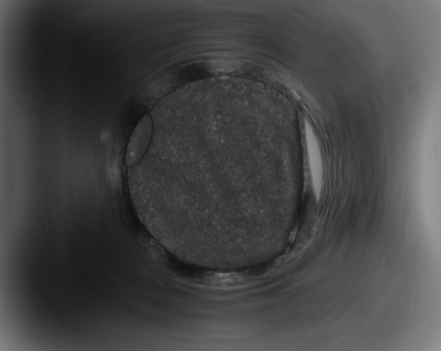 X0000087520277200705181018