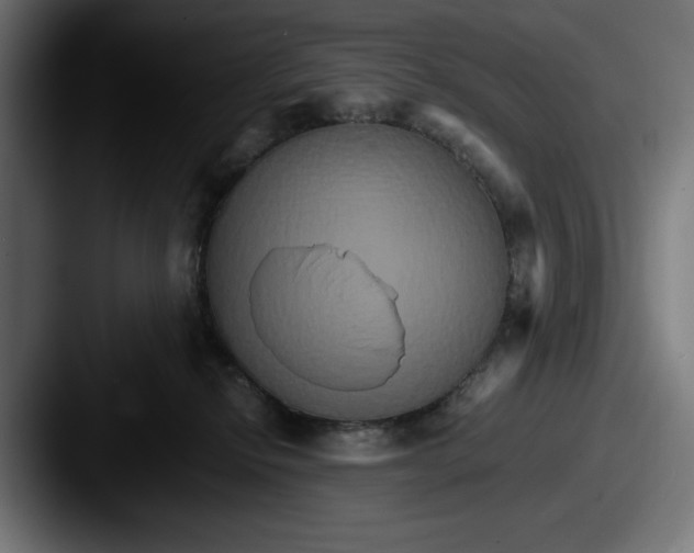 X0000087520278200705181018