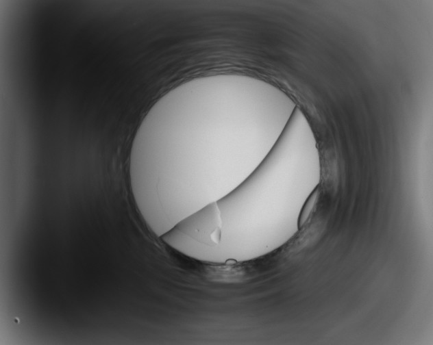 X0000087520281200705181018