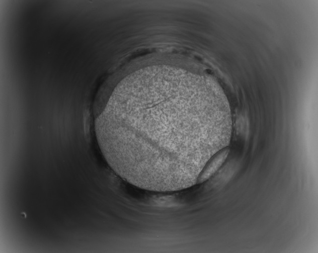 X0000087520283200705181018