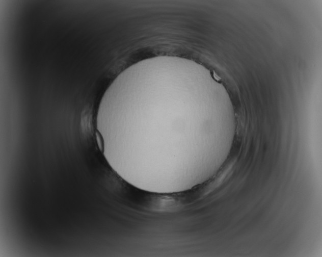 X0000087520287200705181018