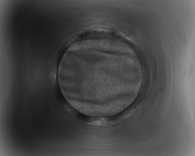 X0000087520288200705181018