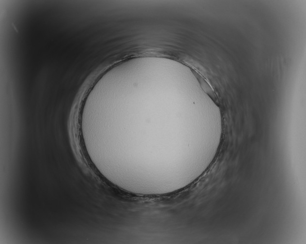 X0000087520289200705181017