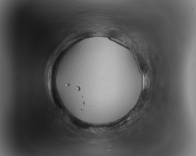 X0000087520291200705181017