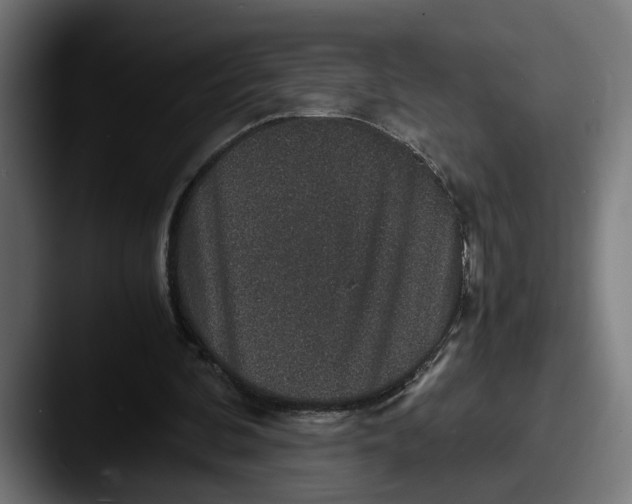 X0000087520292200705181017