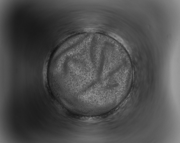 X0000087520297200705181017