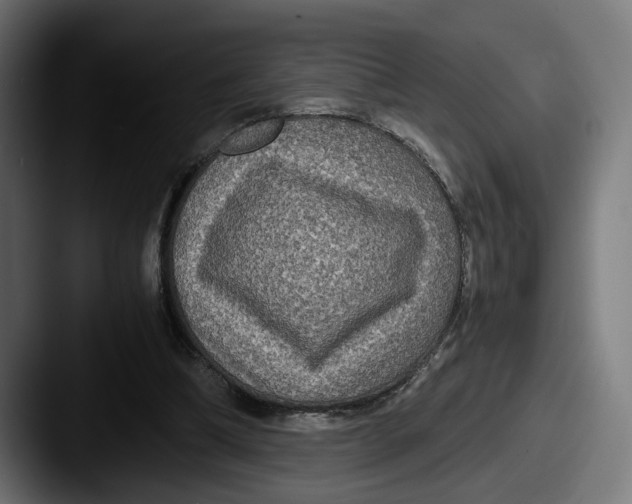 X0000087520298200705181017