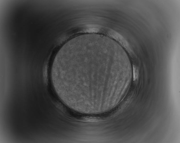 X0000087520300200705181017