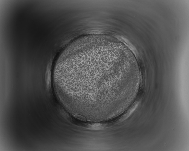 X0000087520301200705181017