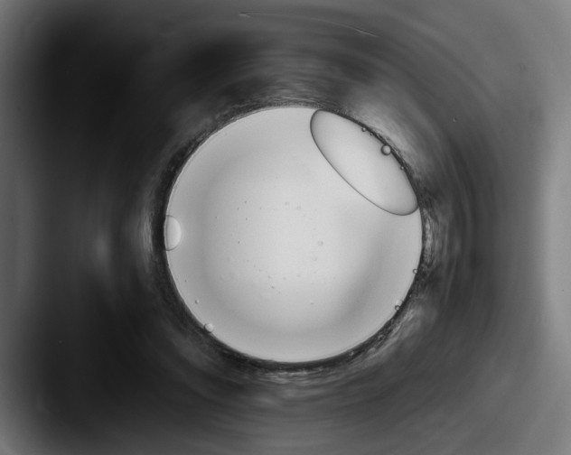 X0000087520302200705181017