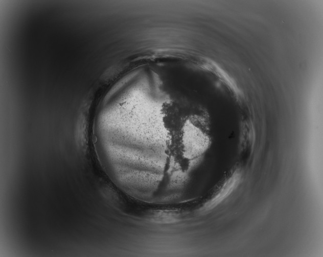 X0000087520303200705181017