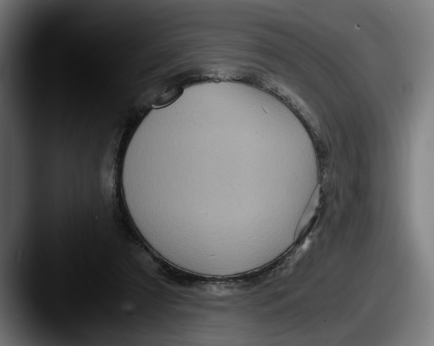 X0000087520305200705181017