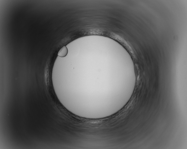 X0000087520306200705181017