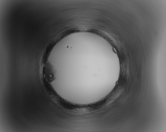 X0000087520307200705181017