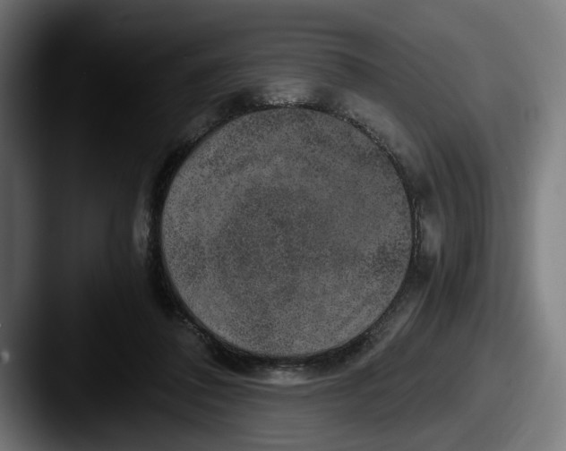 X0000087520308200705181017