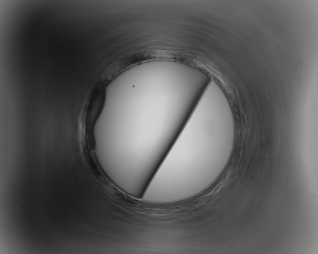 X0000087520309200705181017