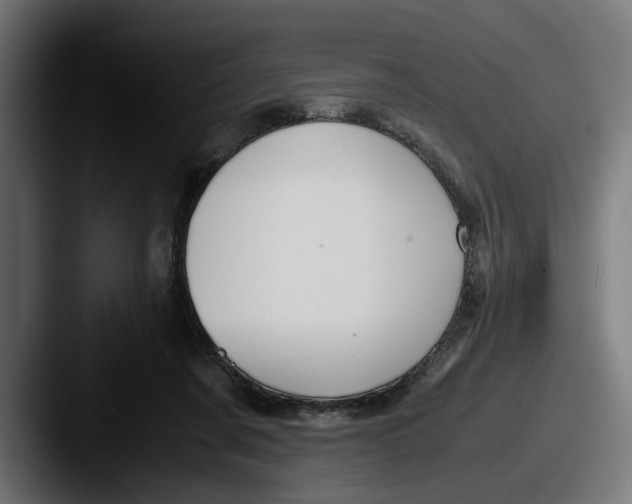 X0000087520311200705181017