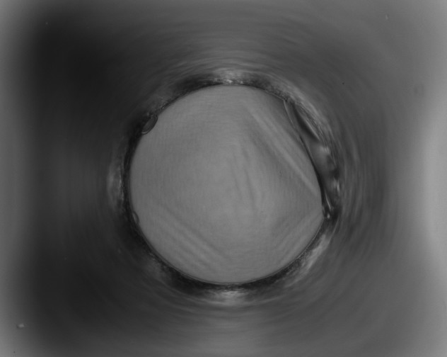 X0000087520313200705181017