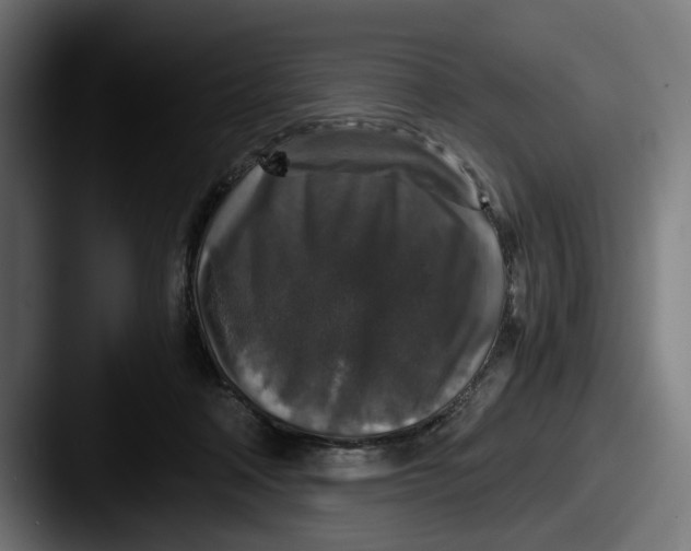 X0000087520314200705181017