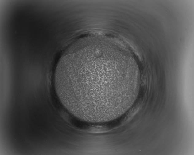 X0000087520315200705181017