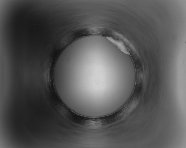 X0000087520317200705181017