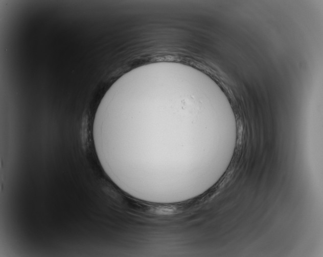 X0000087520318200705181017