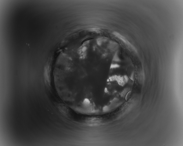 X0000087520319200705181017