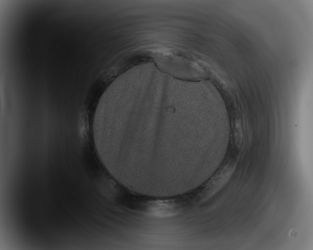 X0000087520320200705181017