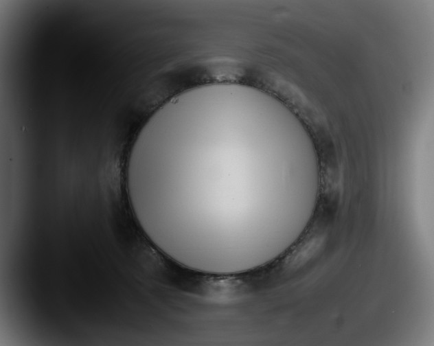 X0000087520321200705181017