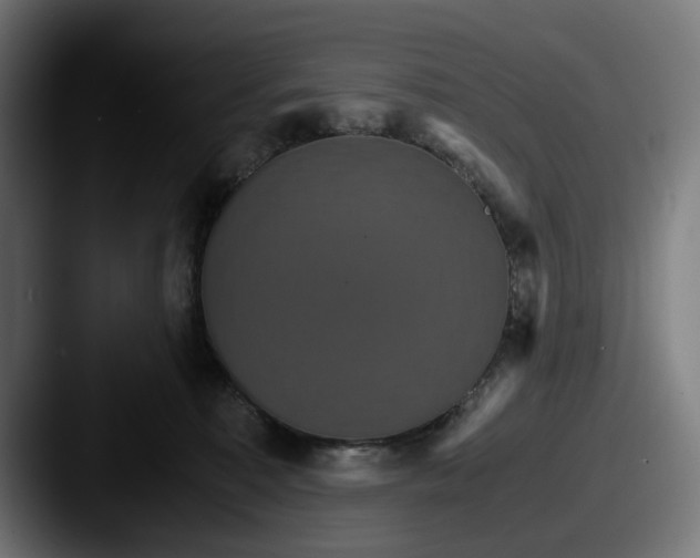 X0000087520323200705181017