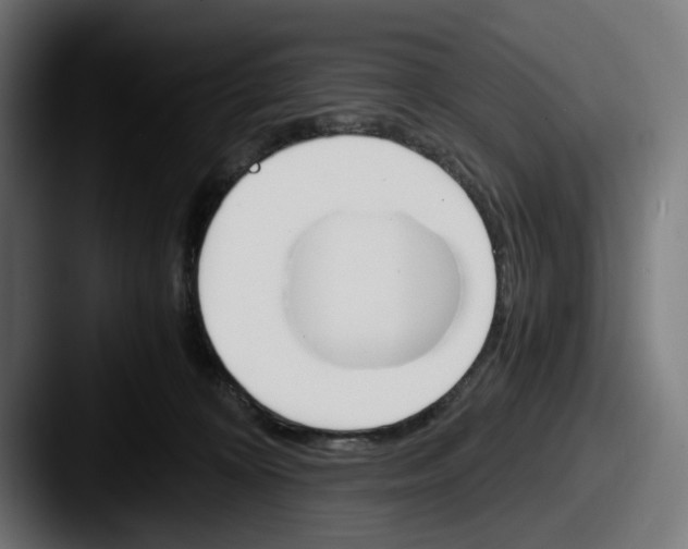 X0000087520324200705181017