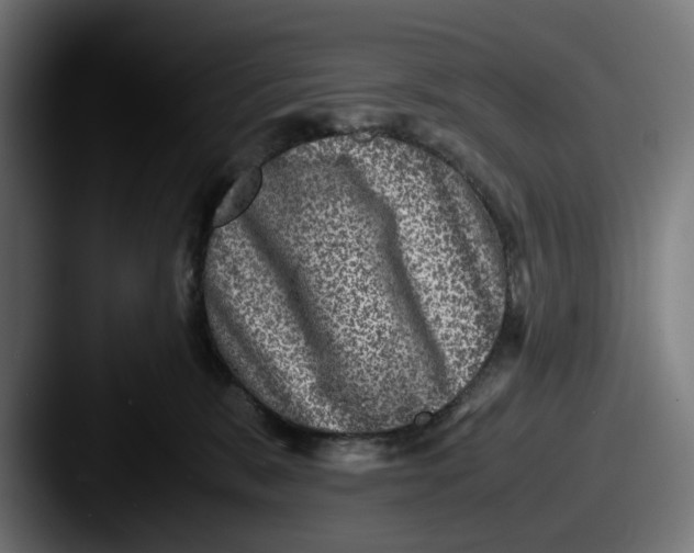 X0000087520327200705181017