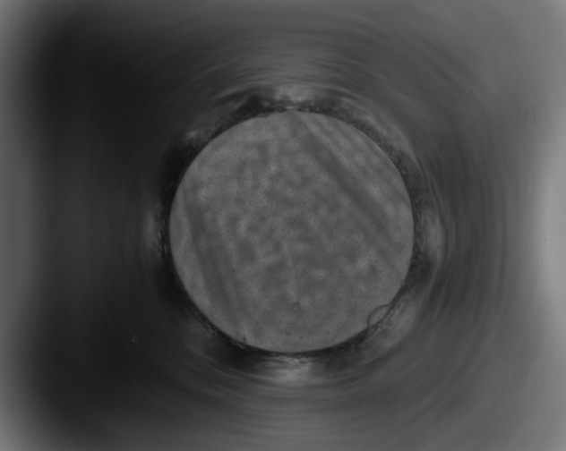 X0000087520328200705181017