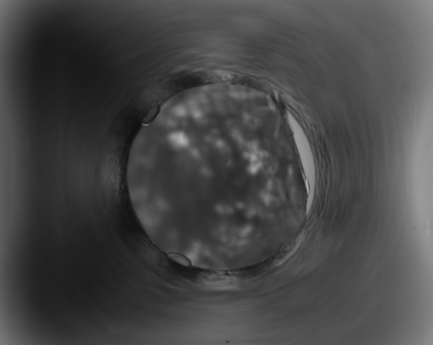 X0000087520331200705181017