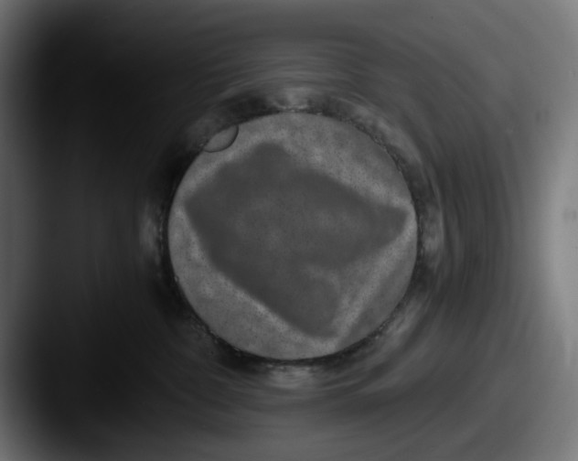 X0000087520332200705181017