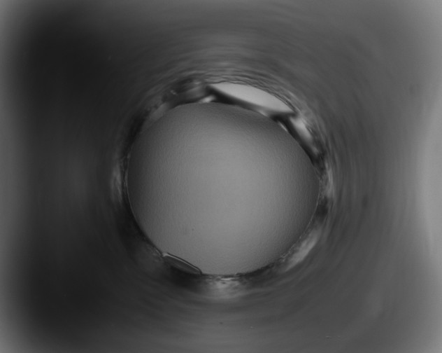 X0000087520333200705181017