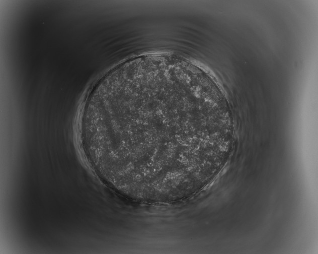 X0000087520337200705181016