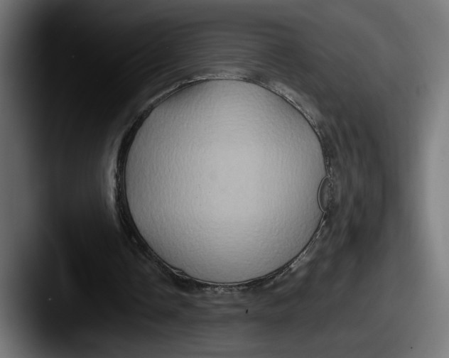 X0000087520338200705181016