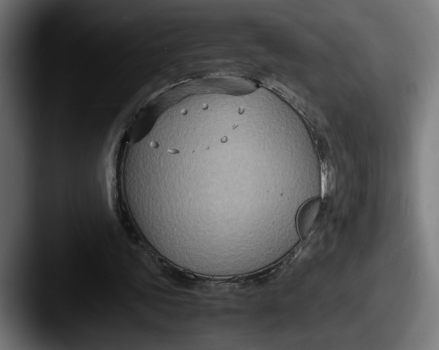 X0000087520339200705181016