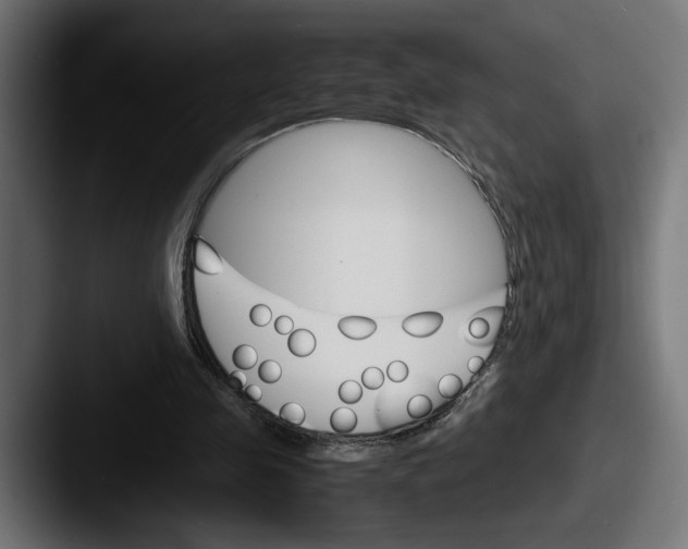 X0000087520341200705181016